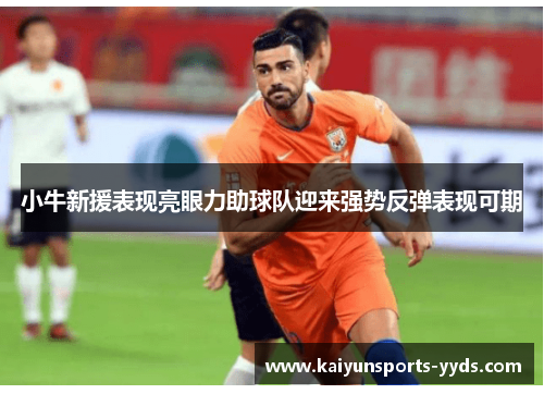 小牛新援表现亮眼力助球队迎来强势反弹表现可期