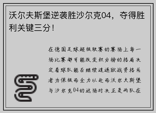 沃尔夫斯堡逆袭胜沙尔克04，夺得胜利关键三分！